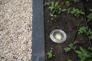 licht in de tuin